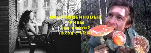 ГАЛЛЮЦИНОГЕННЫЕ ГРИБЫ Богородск