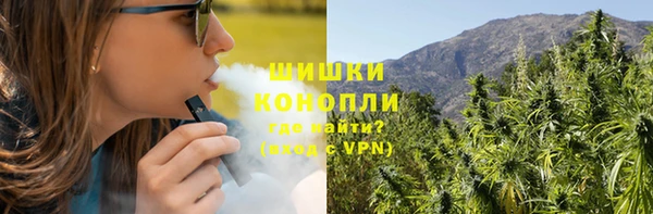 ГАЛЛЮЦИНОГЕННЫЕ ГРИБЫ Богородск
